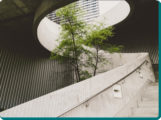 image convertido de svg